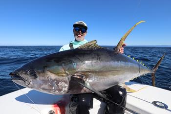 BerleyPro Catch Handmade Diving Popper Mojo D Series Review