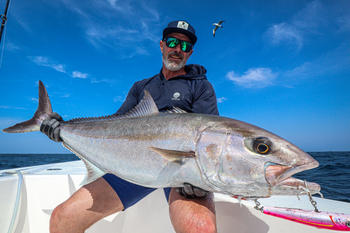 BerleyPro Catch Handmade Diving Popper Mojo D Series Review