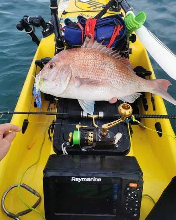 BerleyPro Catch Boss Squid Inchiku Jig Review