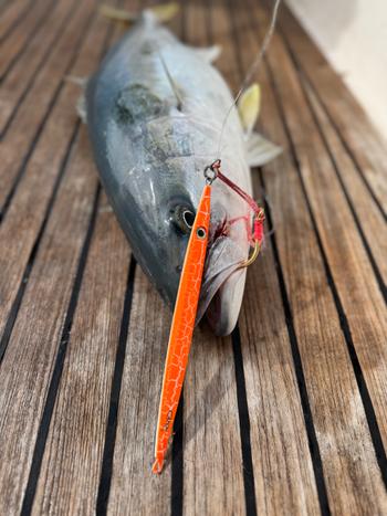 BerleyPro Catch Deep-V Slowpitch Jig Review