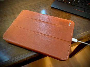 Vaja Row Nuova Pelle iPad Mini 7 Leather Case 2024 Review