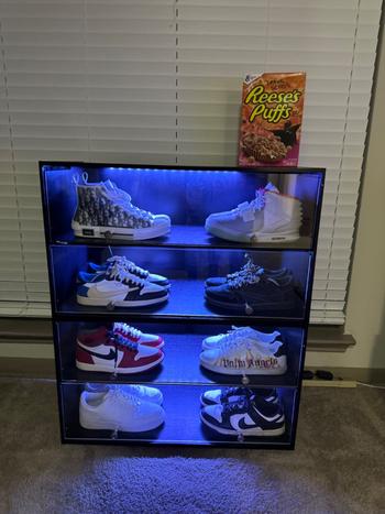 Sneaker Throne Sneaker Throne Review