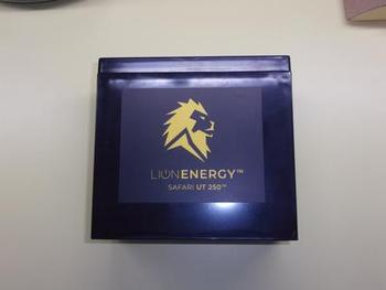 Lion Energy Lion UT 250 Battery (12V, 20Ah, LiFePO4) Review