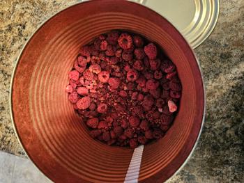 Emergency Essentials - Be Prepared Emergency Essentials® Freeze-Dried Raspberries Large Can Review