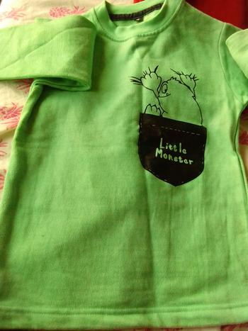 ARM Apparels The King of Wild Things Sweat Shirt for Kids Review