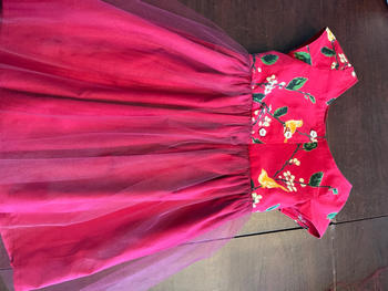Violette Field Threads Sutton Top & Dress Review