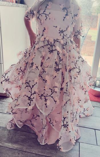 Violette Field Threads Abriella Dress Review