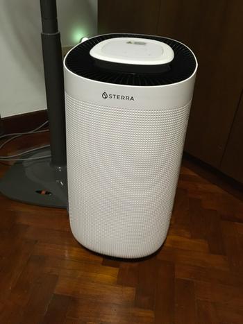 Sterra Sterra Sun™ Dehumidifier Review