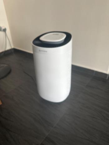 Sterra Sterra Sun™ Dehumidifier Review