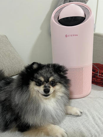 Sterra Sterra Moon™ True HEPA-13 Air Purifier Review