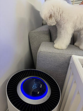 Sterra Sterra Paws™ True HEPA-14 Pet Air Purifier Review