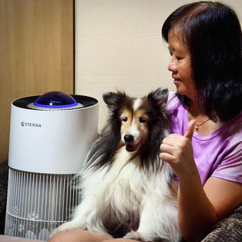 Sterra Sterra Paws™ True HEPA-14 Pet Air Purifier Review