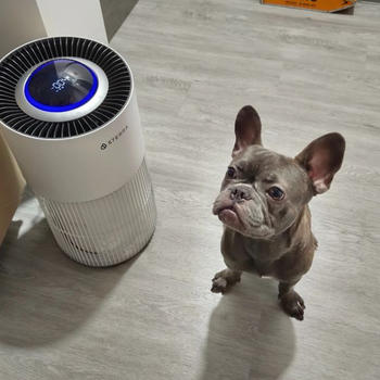 Sterra Sterra Paws™ True HEPA-14 Pet Air Purifier Review