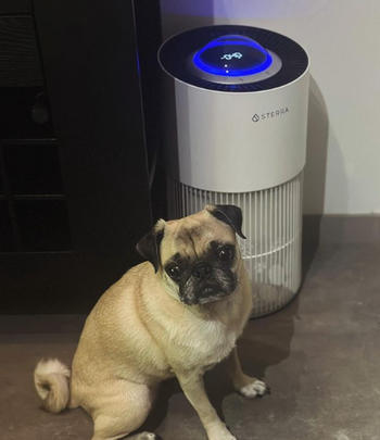 Sterra Sterra Paws™ True HEPA-14 Pet Air Purifier Review