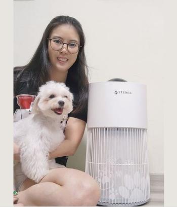 Sterra Sterra Paws™ True HEPA-14 Pet Air Purifier Review