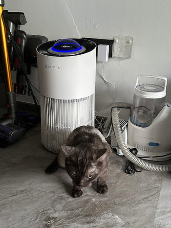 Sterra Sterra Paws™ True HEPA-14 Pet Air Purifier Review