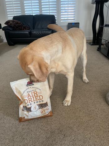 Redbarn Pet Products Air Dried Chicken Recipe Dog Food Review