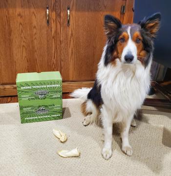 Redbarn Pet Products Lamb Ear Review