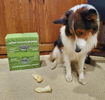 Redbarn Pet Products Lamb Ear Review