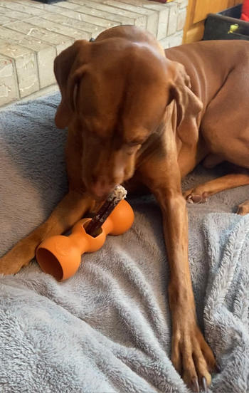 Redbarn Pet Products Bully Stick Review