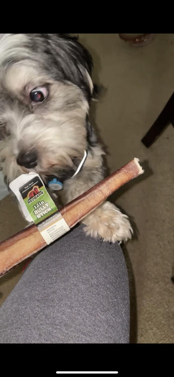 Redbarn Pet Products Bully Stick Review