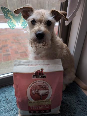 Redbarn Pet Products Whole Grain Land Recipe Dog Food Review