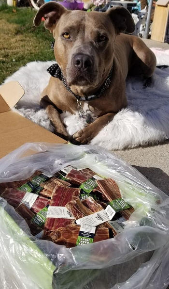 Redbarn Pet Products Beef Jerky Review