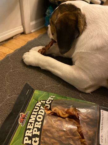 Redbarn Pet Products Braided Bully Stick Review