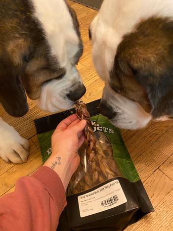 Redbarn Pet Products Braided Bully Stick Review