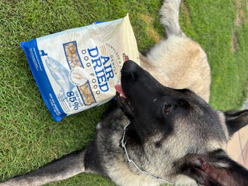 Redbarn Pet Products Air Dried Fish Recipe Dog Food Review