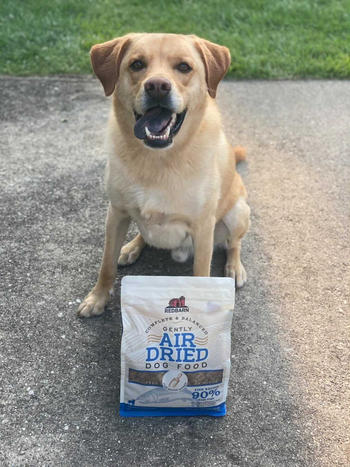 Redbarn Pet Products Air Dried Fish Recipe Dog Food Review