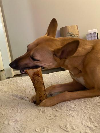 Redbarn Pet Products Meaty Bone Review