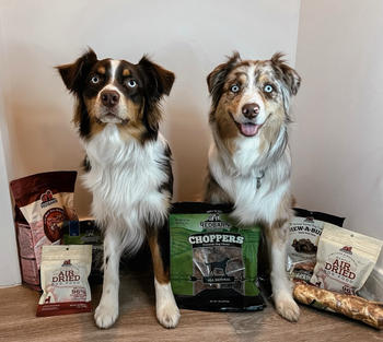 Redbarn Pet Products Big Dog Bundle #1 Review