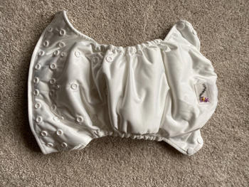Kanga Care  Rumparooz One Size Pocket Cloth Diaper - Fluff Review