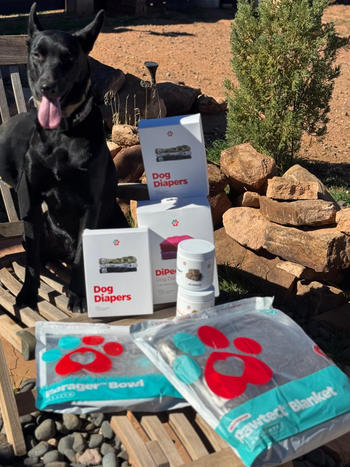 Pet Parents® Dog Diapers (3-Pack) + Extendrs® Review