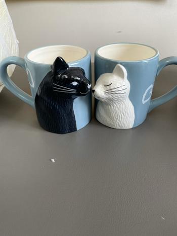 Kissing Cats Ceramic Couple Mugs - GEEKYGET