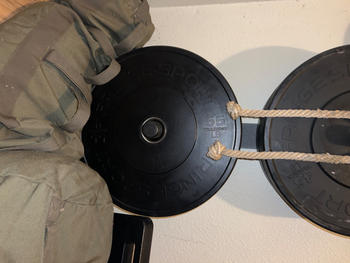 Fringe Sport Black Bumper Plates (Pairs) Review