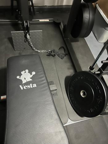 Fringe Sport Black Bumper Plate Sets Review