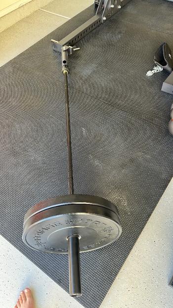 Fringe Sport 20kg Men's Wonder Bar Olympic Barbell Review