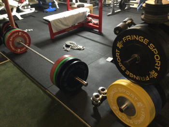 Fringe Sport Colored Competition Bumper Plates - Pounds Review