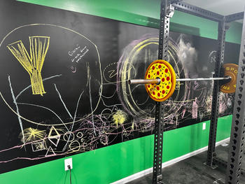 Fringe Sport Pizza Bumper Plates (10lb Pair) Review