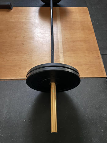 Fringe Sport 20kg Midas Revenge Bar Review