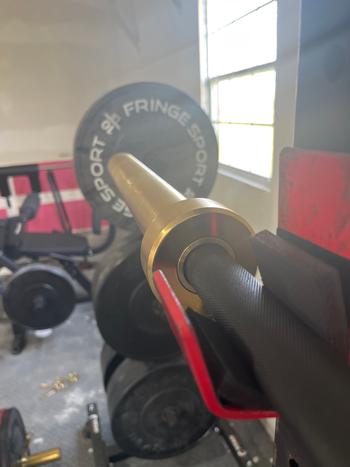 Fringe Sport 20kg Midas Revenge Bar Review
