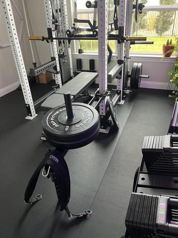 Fringe Sport Mammoth Belt Squat (With Free Belt) Review