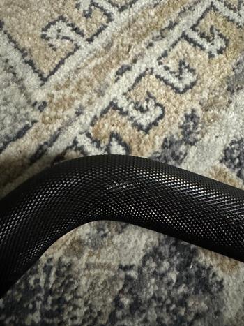 Fringe Sport EZ Curl Bar Midas Review