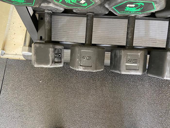 Fringe Sport Silverback Rubber Coated Dumbbells Review