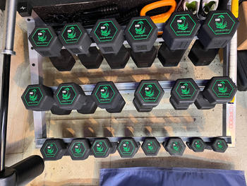 Fringe Sport Silverback Rubber Coated Dumbbells Review