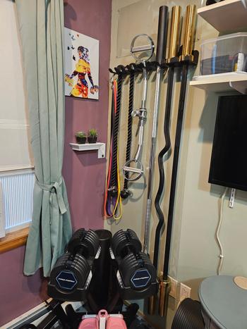 Fringe Sport The Dane 2.0, Half Rack Functional Trainer (Attachments Package) Review