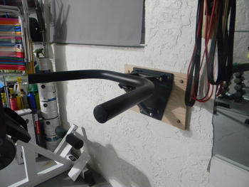 Fringe Sport Foldable Wall-Mount Dip Station Review