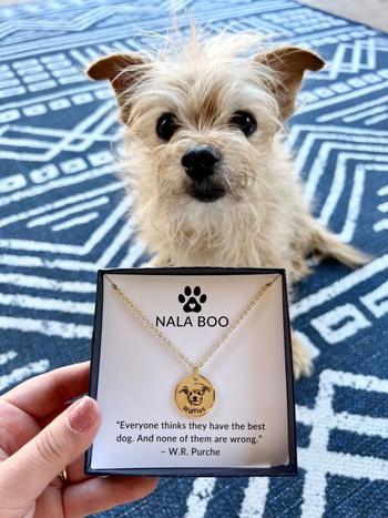 Nala 2024 dog tag